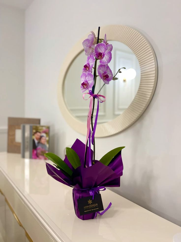 Orquídea Roxa + Vaso