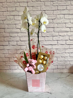 Kit Orquídea Branca + Chocolate + Pelúcia + Vaso